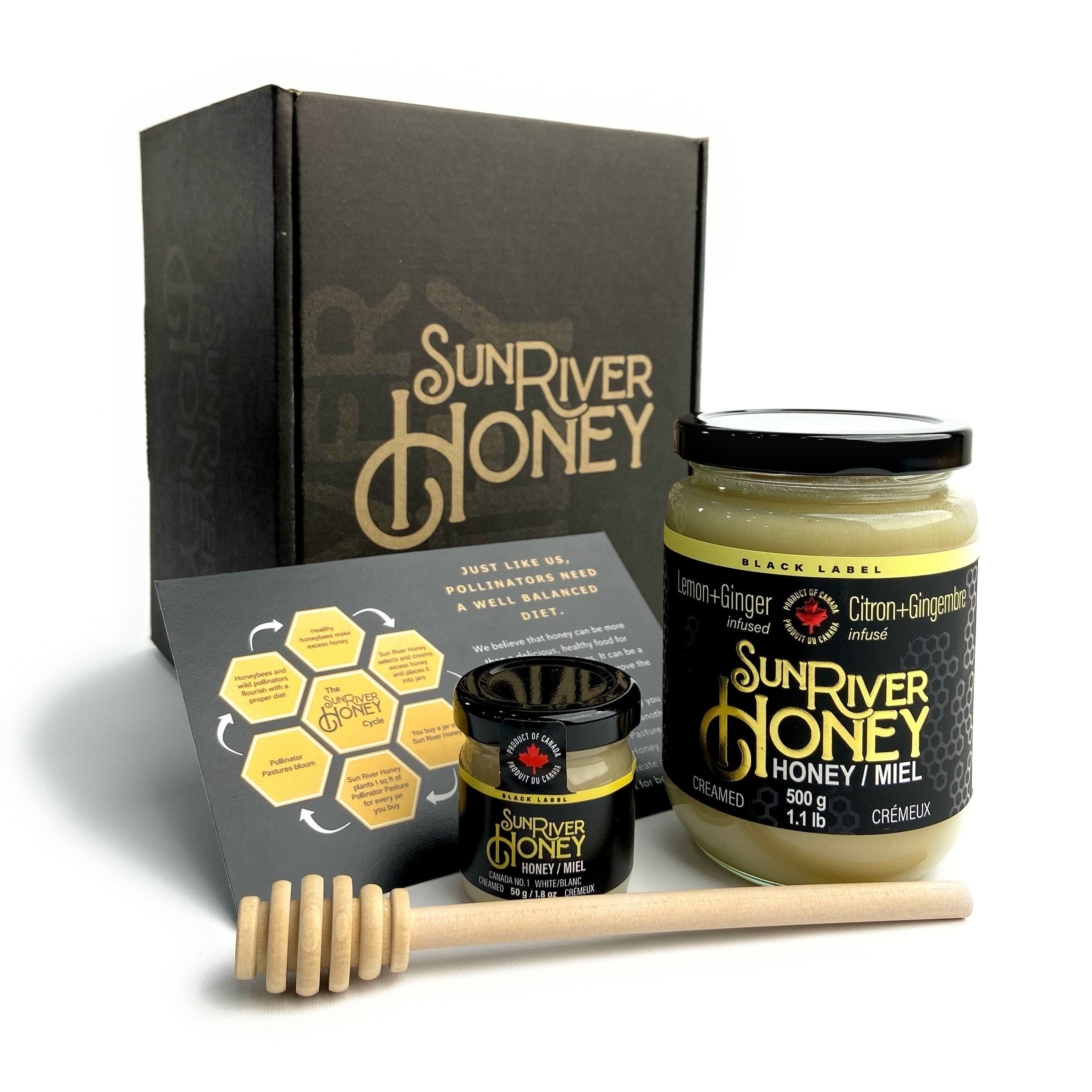 Lemon + Ginger Creamed Honey Gift Set + Mystery Mini Sun River Honey