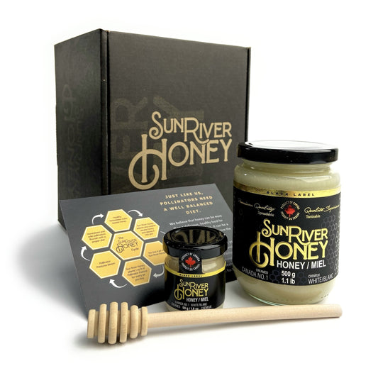 Natural Creamed Honey Gift Set + Mystery Mini