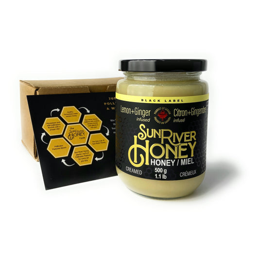 Lemon + Ginger Creamed Honey 1 lb Single