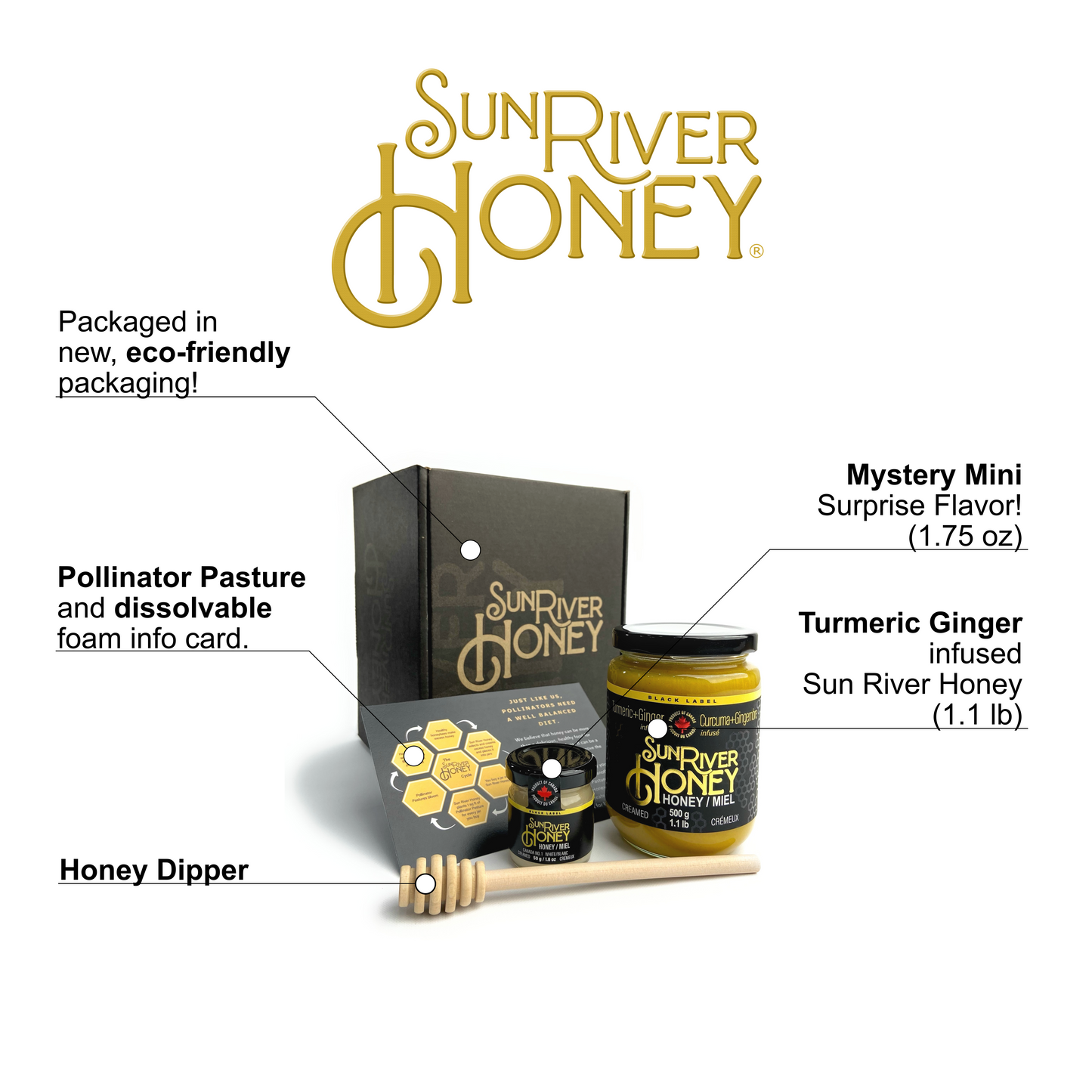 Turmeric + Ginger Creamed Honey Gift Set + Mystery Mini